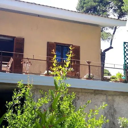 Etnea Centoundici