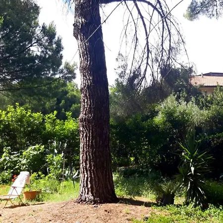 Etnea Centoundici Nicolosi